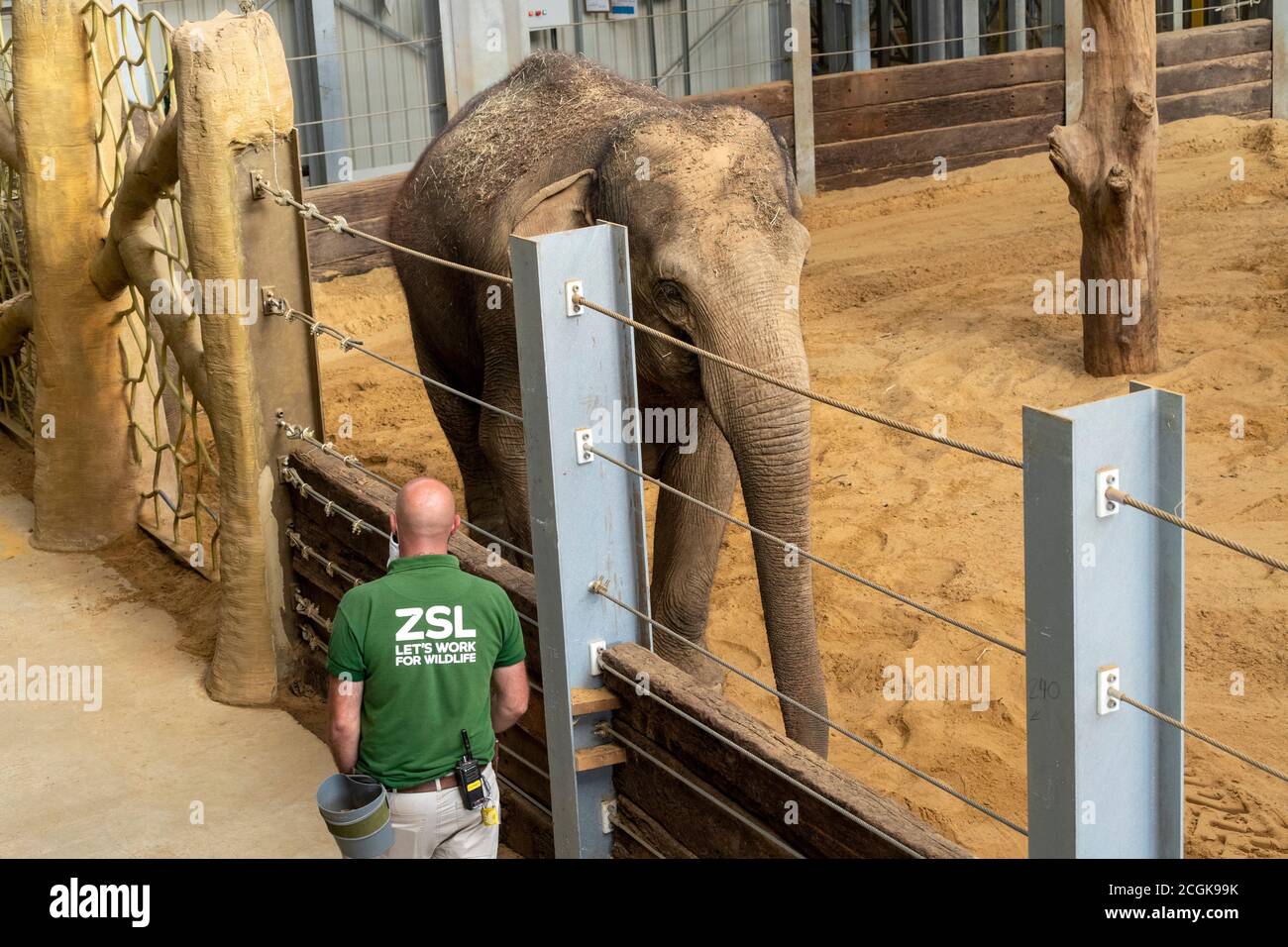 Elephants whipsnade zoo hires stock photography and images Alamy