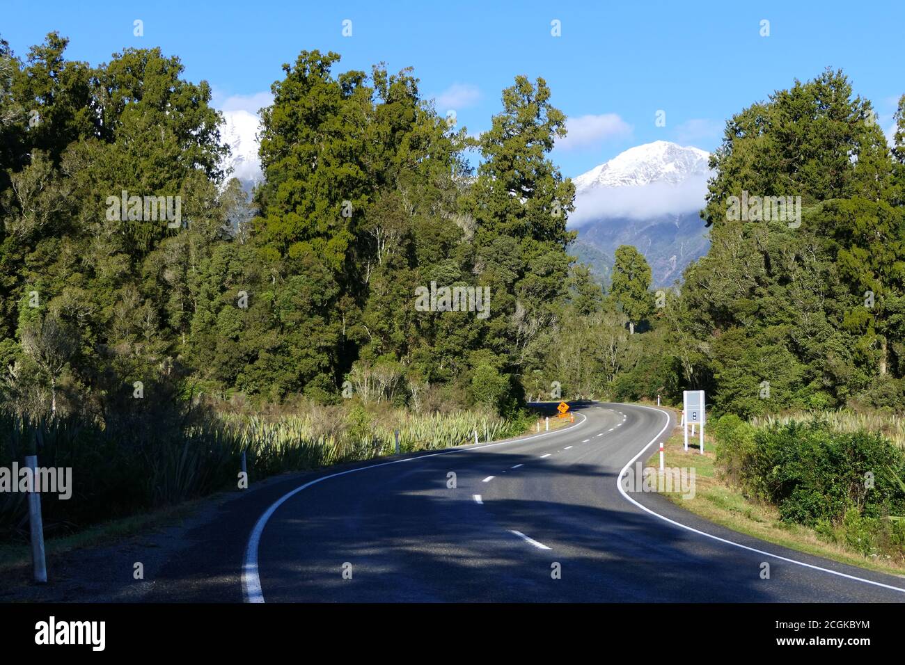 Road through the stunning landscape of New Zealand's West Coast on the South Island with forests and snowy mountains or Southern Alps Stock Photo