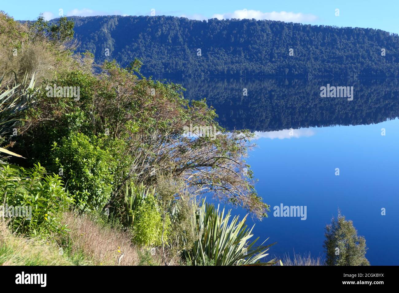Lake Wahapo - beautiful clear lake with reflecting trees and clouds on New Zealand's South Island, West Coast Stock Photo