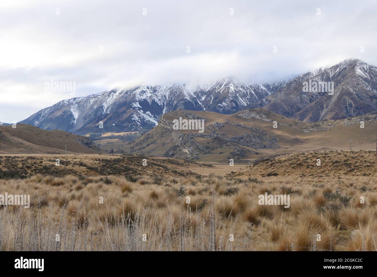 Beautiful New Zealand landscape with red tussock grass and snow covered mountains Stock Photo