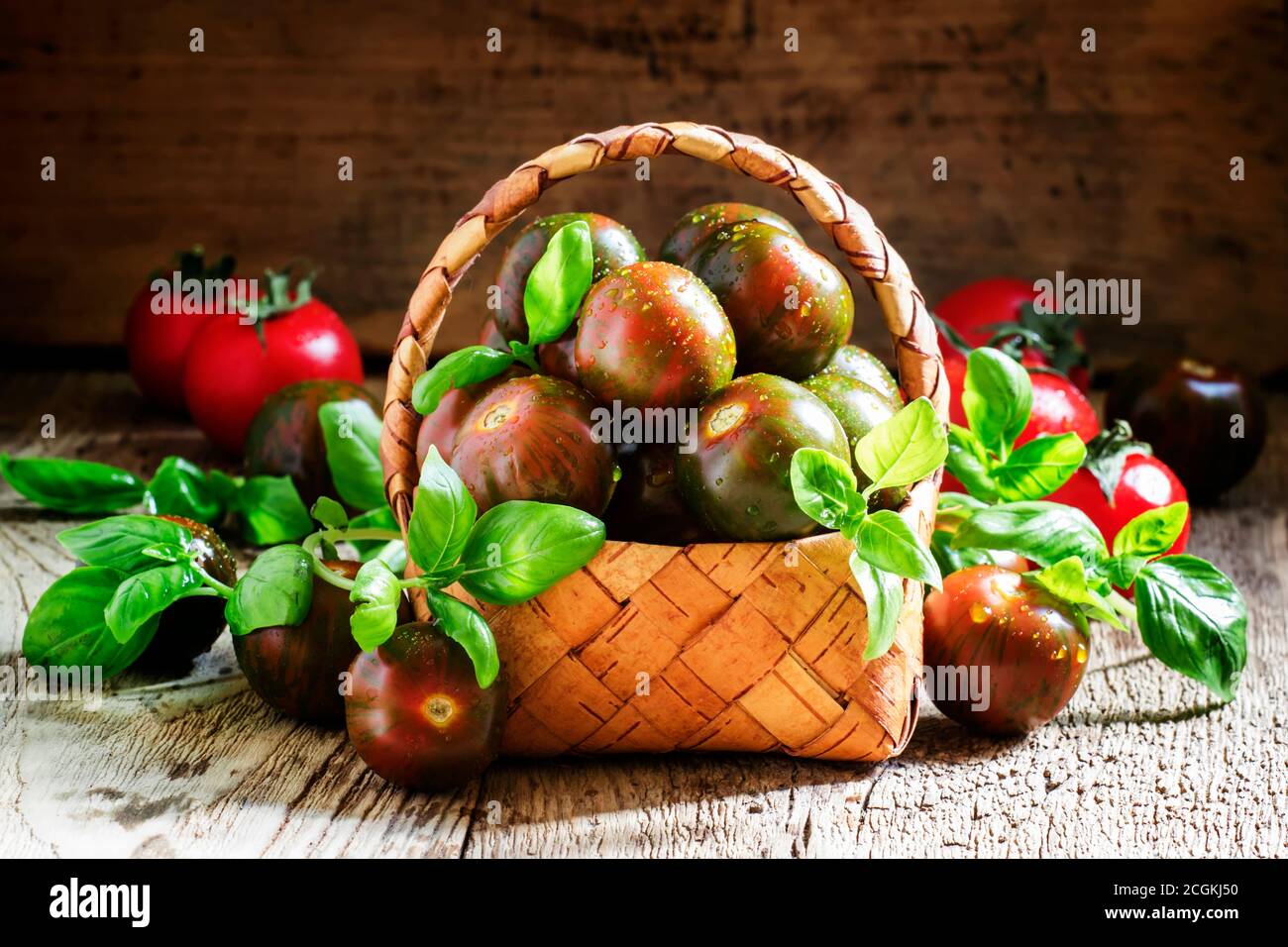Black and red cherry tomatoes, Italian green basil in a wicker basket ...