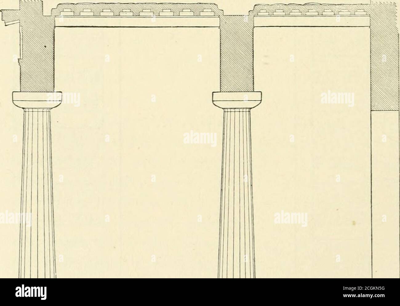 Tibule hi-res stock photography and images - Alamy