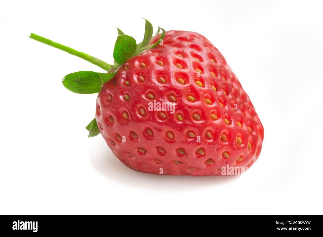 Isolated strawberry. Single strawberry fruit isolated on white background  Stock Photo - Alamy