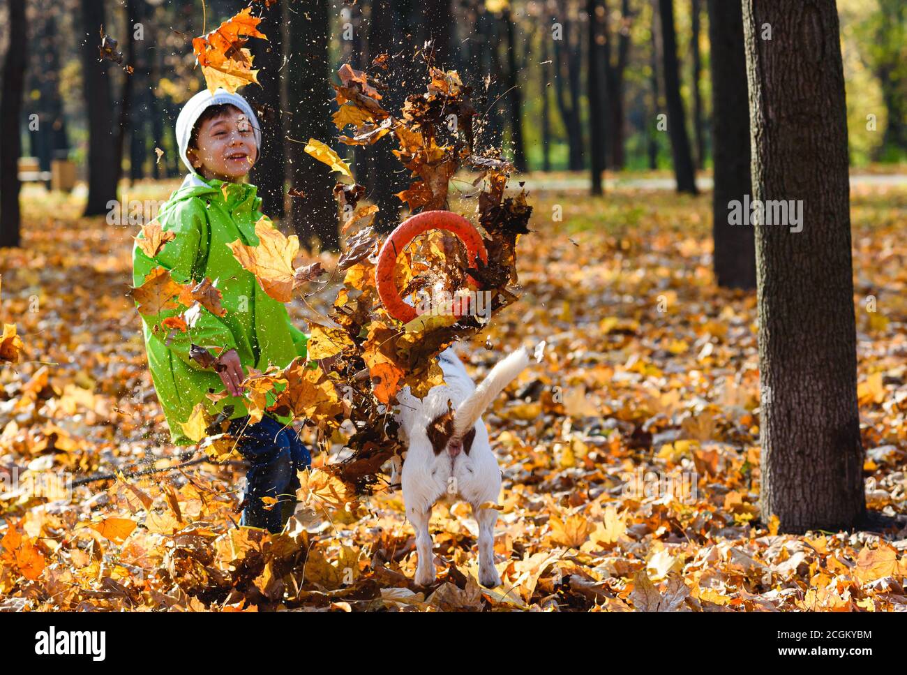 Two happy friends, dog and his young owner, playing in autumn fallen leaves on sunny fall day Stock Photo