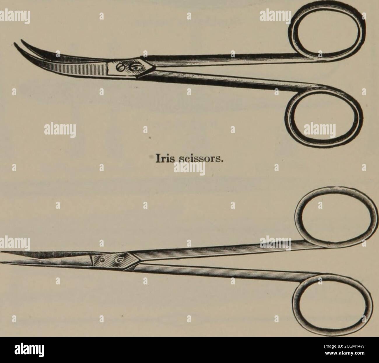 Scissors for operations hi-res stock photography and images - Page 4 - Alamy