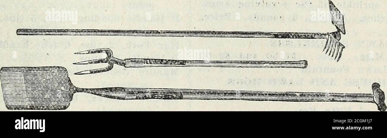 Japanese codling hi-res stock photography and images - Alamy