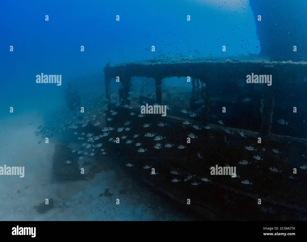 The wreck of the MV Imperial Eagle in Malta Stock Photo