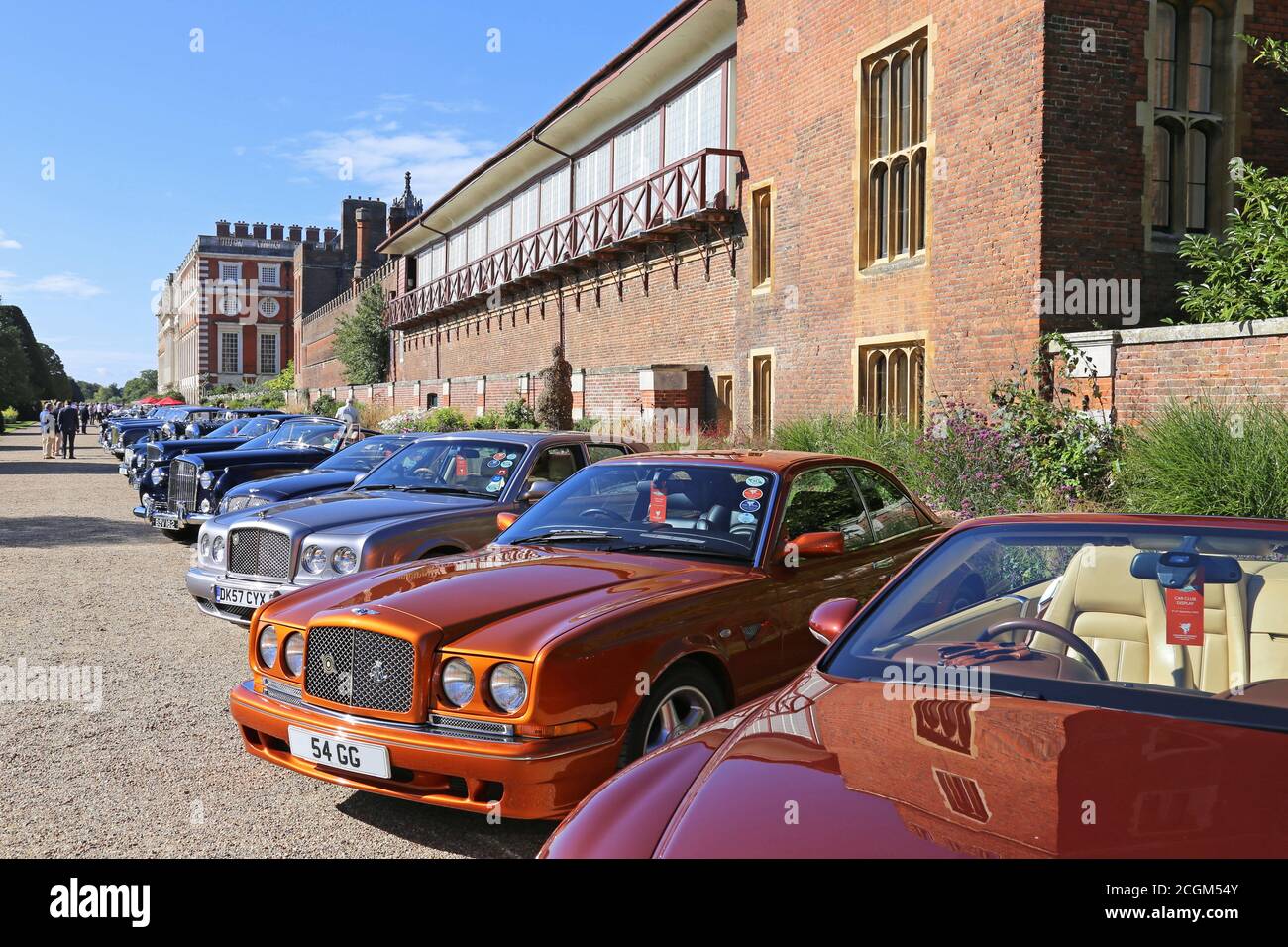 Bentley Continentals, Car Club Displays, Concours of Elegance 2020