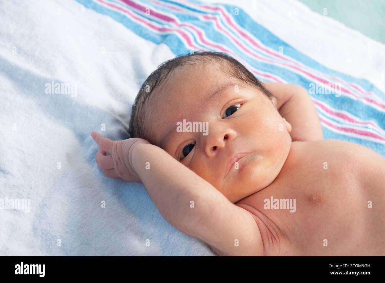 Portrait of newborn baby boy, 1 week old, closeup, alert, lying on receiving blanket Stock Photo