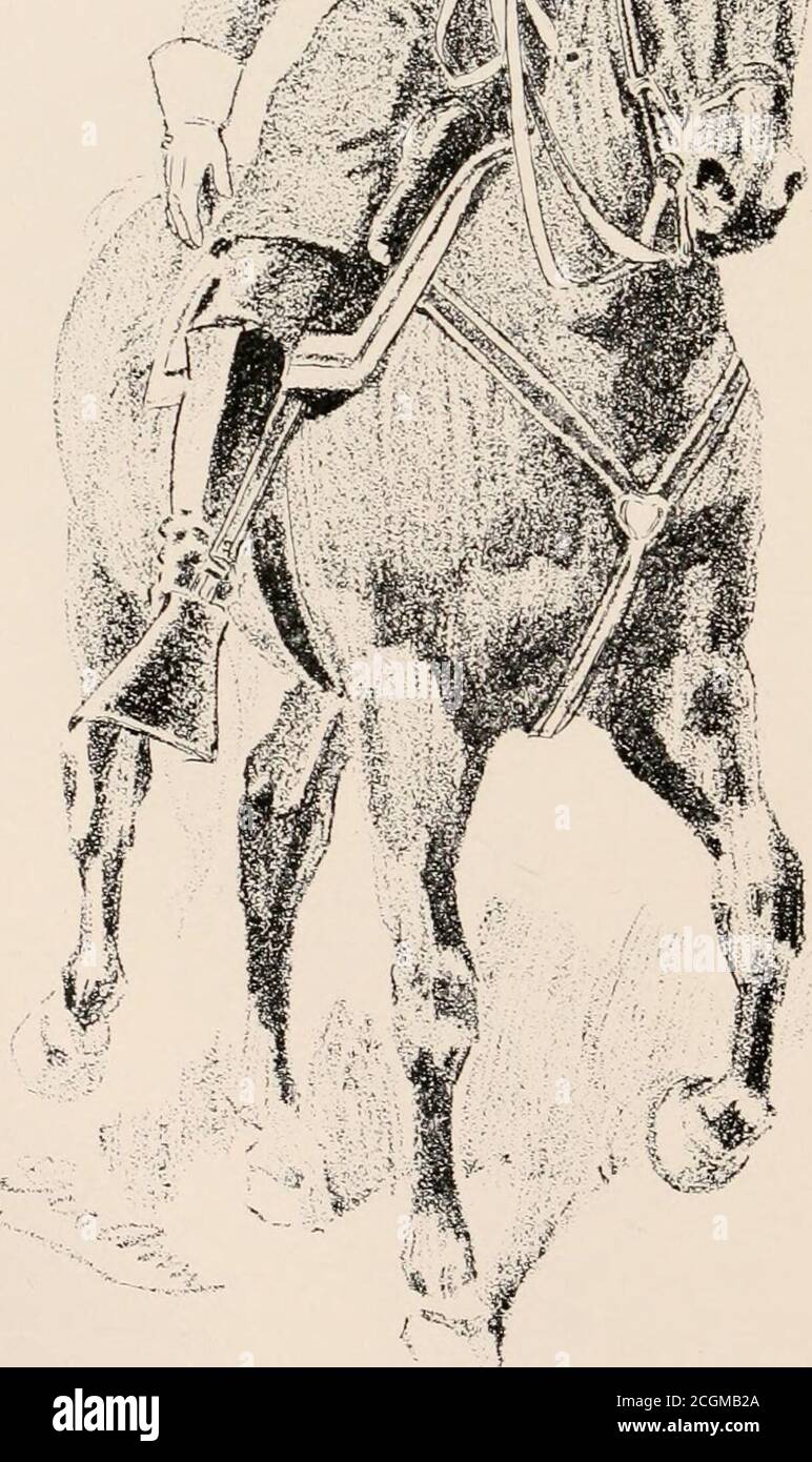 . History of the Ninth regiment, Connecticut volunteer infantry, "The Irish regiment," in the war of the rebellion, 1861-65. The record of a gallant command on the march, in battle and in bivouac . ^»H^ 4 1 ■- - ate £ o-: & sdSBSBL ^io-:^;. Lieut. Col. Richard FitzGibbon.(Reproduced from a War-Time Print). WAR OF THE REBELLION, 1861-1865. 33 had been driven from power by an indignant people.Strong arms were needed to defend the Nation and theIrish of Connecticut nobly responded. On May 17, 1861,the following notice under the head A Chance for Vol-unteers, appeared in the New Haven Palladium: A Stock Photo