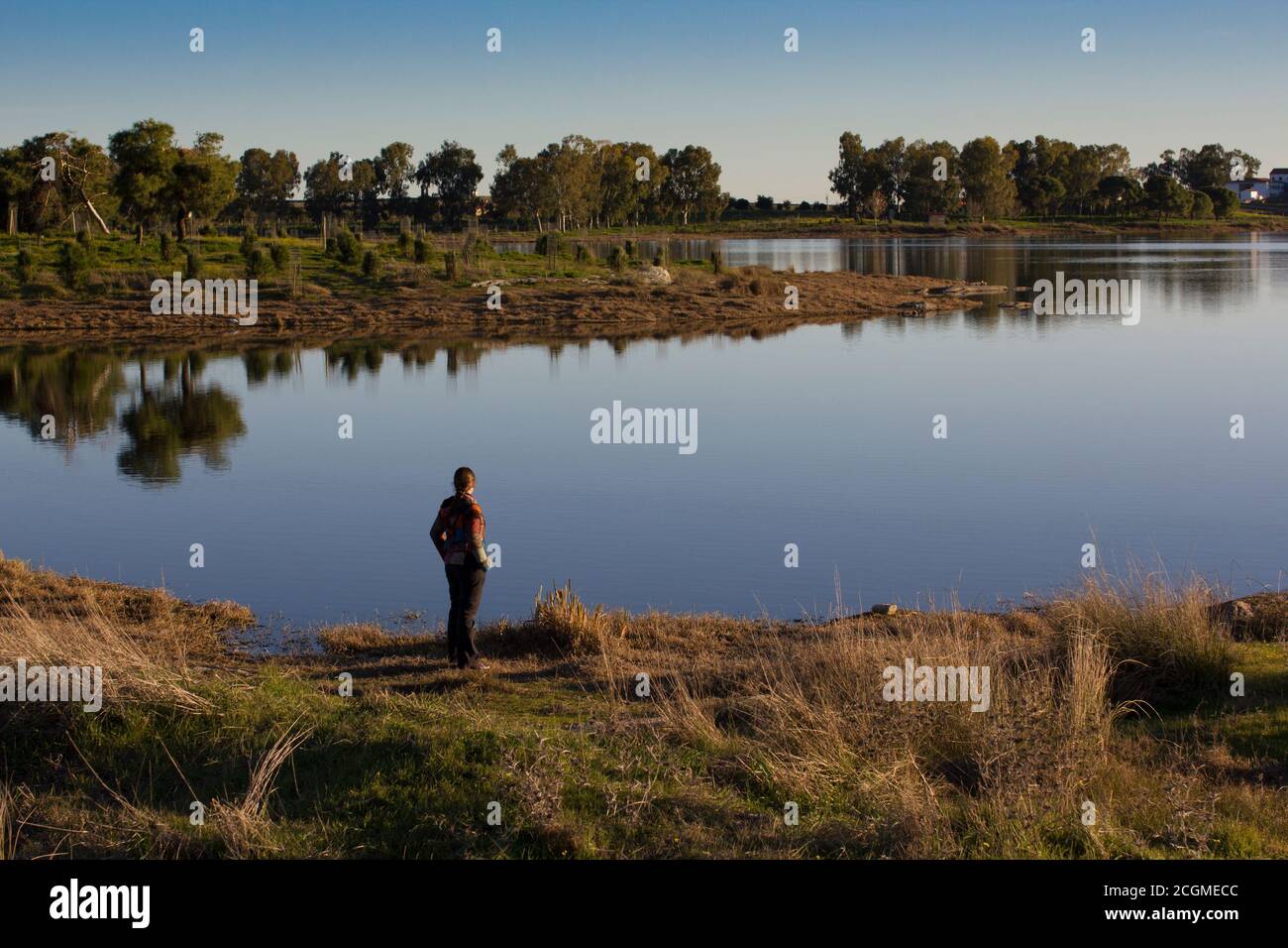 Person looking out over a tranquil lake Stock Photo