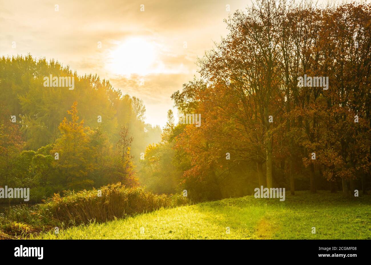 Hdr woods trees sun sky hi-res stock photography and images - Alamy