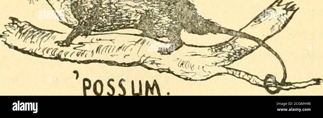 . The Third New Hampshire and all about it . egiments, and providedthat all enlisted men appointed to colored regiments be mustered outas enlisted men when mustered in as officers. Department Statistics for May, 1863, are: Total troops,21,705; wounded and sick, 4,121; died, 9; cases wounded, etc.,170; died of wounds, etc., 1. 286 THIRD NEW HAMPSHIRE REGIMENT. [iVff// 60. The Monthly Return shows : — Field and Staff Co. A B C D E (Bay Point) . . , F G H I (Bay Point) . . .K Present aggregateAggregate last report 8 officers. 3 3 35 Total, 7S(j37 805 Asst. Surg. D. Farrar and 1st Lieut. A. J. Fog Stock Photo