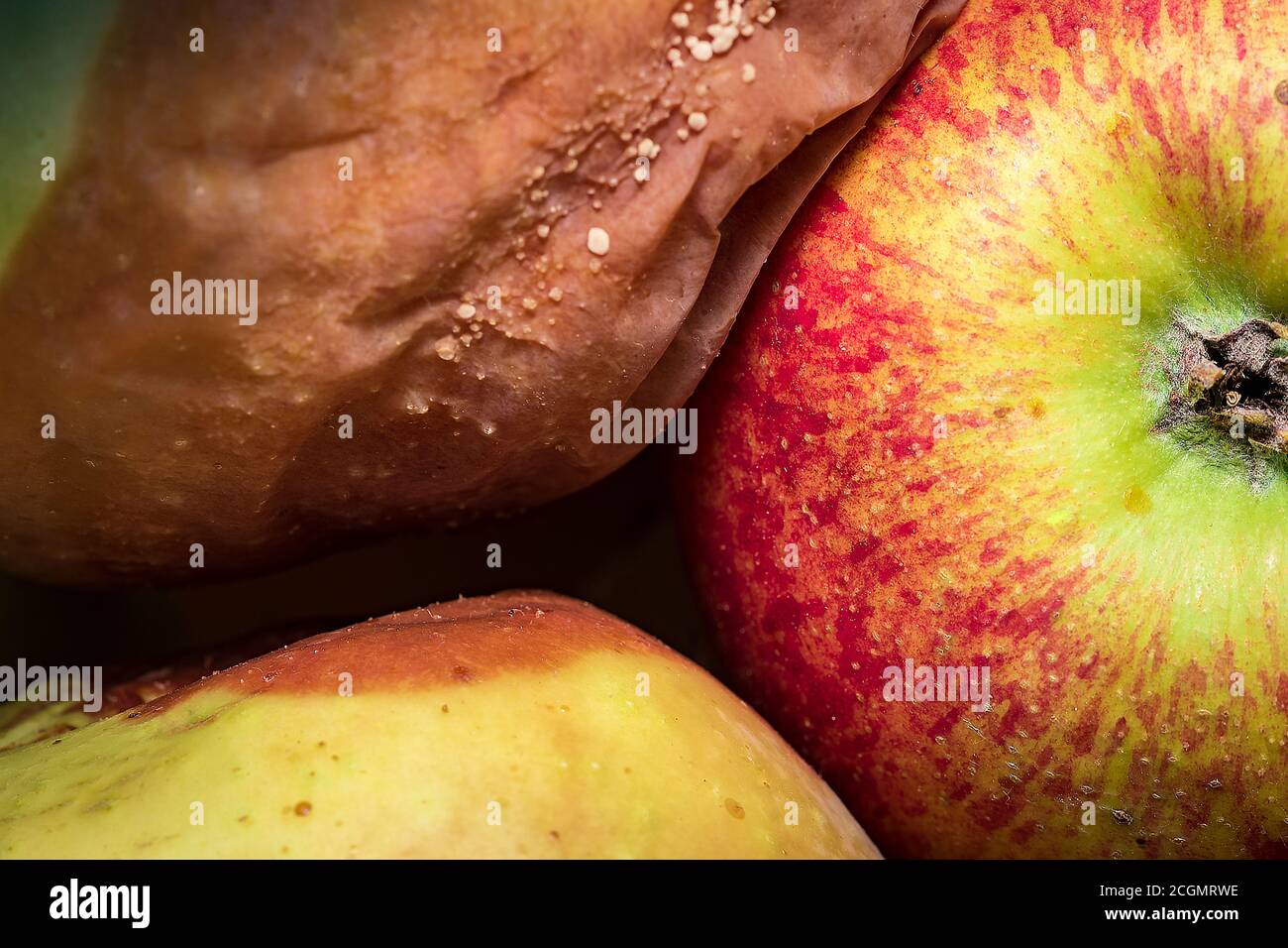 Apple fruit disease hi-res stock photography and images - Alamy