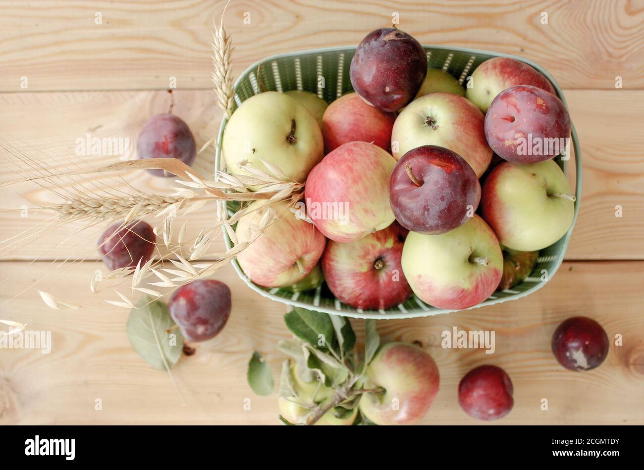 Autumn still life with apples, plums, autumn leaves Stock Photo - Alamy