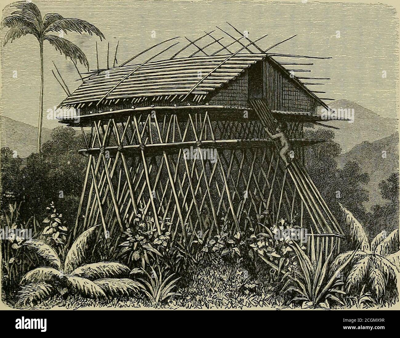 . The history of mankind . ature of life and scenery. Whether on dry ground or in the water, thehouse is built on piles. Speaking of the village of Sowek on Geelvink Bay (of Mats from Tongatabu. (Cook Collection, Vienna.] of wood inside and out. LABOUR, DWELLINGS, AND FOOD IN OCEANIA 263 which we give a coloured illustration), where some thirty houses stand on piles, at-tached by tree stems to each other, but not to the shore, Raffray says : We have infact a perfect pile-village, just like those which science has reconstructed from theprehistoric period. The yet neater huts in Humboldt Bay sim Stock Photo