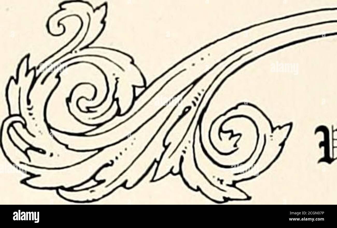 Page 291 T O P High Resolution Stock Photography And Images Alamy