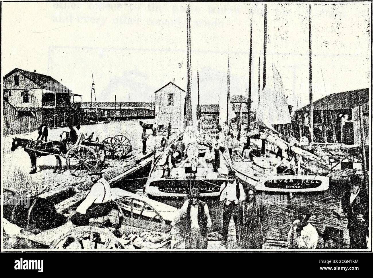 Unalterable High Resolution Stock Photography and Images - Alamy