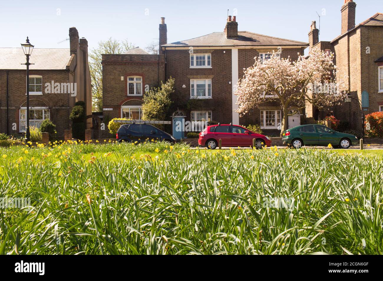Houses on Ealing Green Stock Photo Alamy