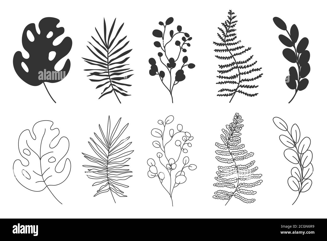 Exotic tropical leaf silhouette and contour set. Hand drawn different ...