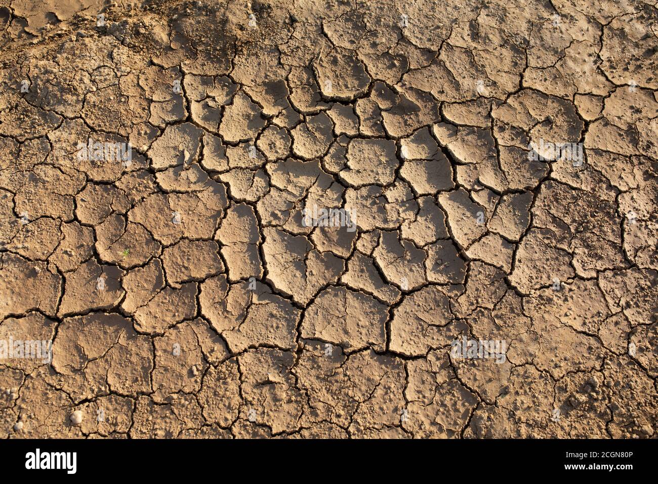 Dry cracked desert. The global shortage of water on the planet. Global warming and greenhouse effect illustration. Stock Photo