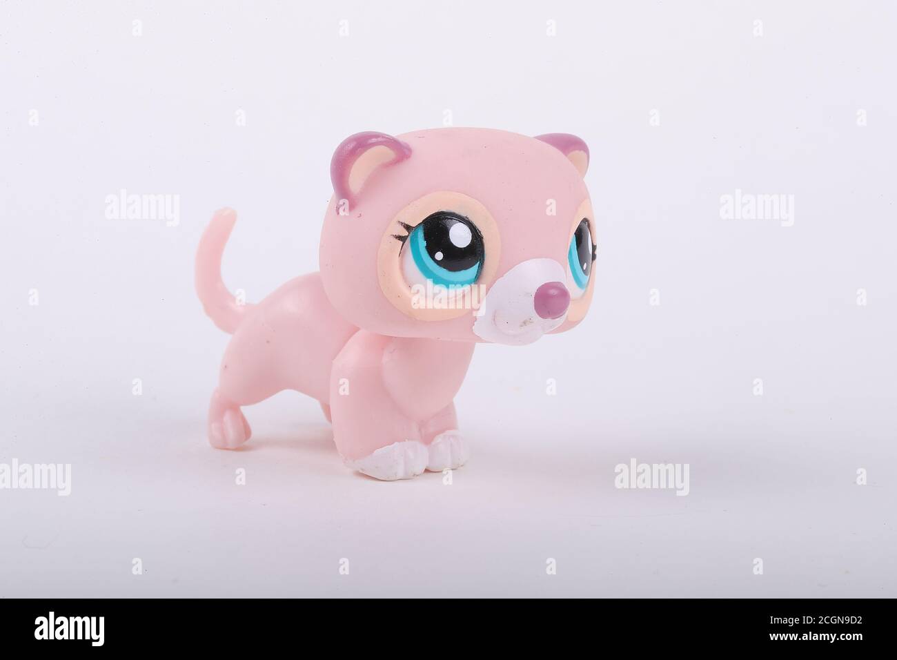 lps pink cat