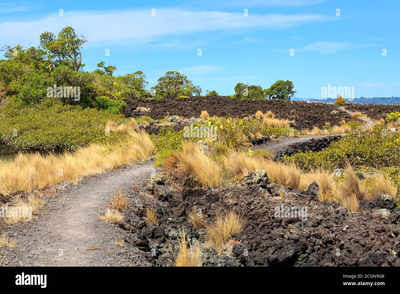 Lava vegetation hi-res stock photography and images - Alamy