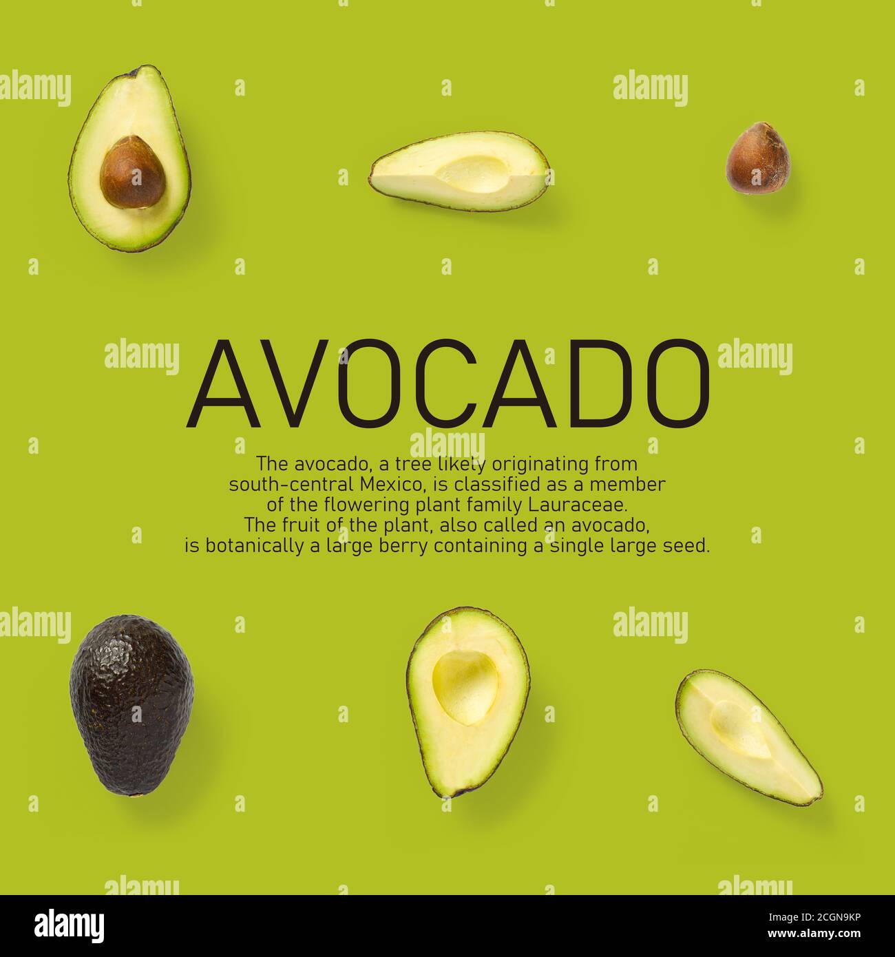 Modern creative avocado collage with simple text on solid color ...