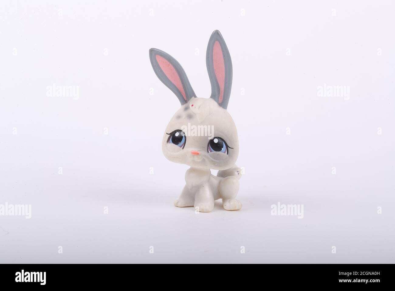 Littlest Pet Shops macro of white bunny on White Photo credit