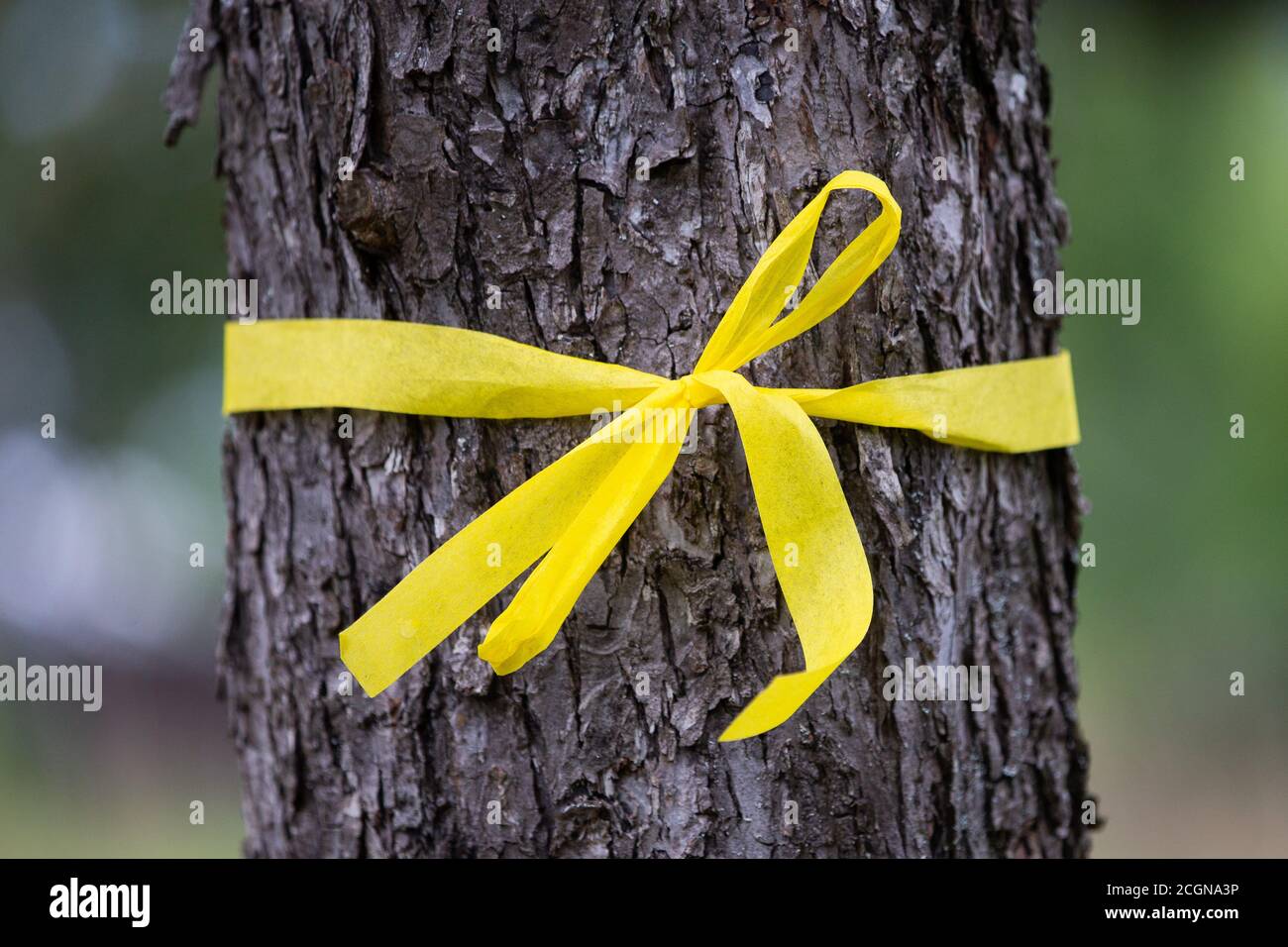 Stetten, Germany. 11th Sep, 2020. A fruit tree stands with a yellow