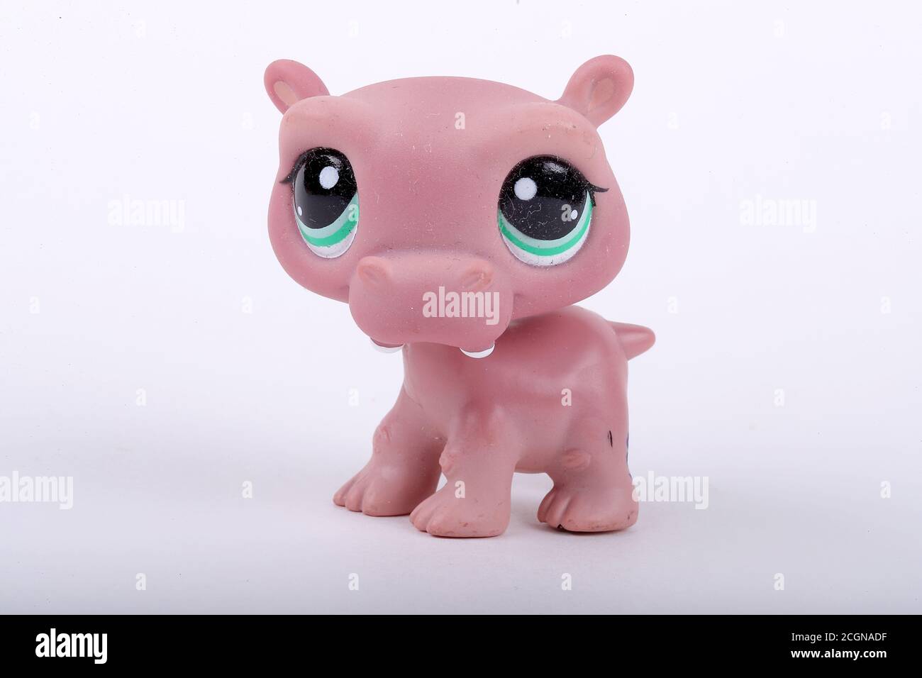 Littlest pet shop hi-res stock photography and images - Alamy