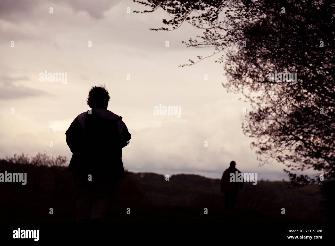 Silhouette of two men walking away in a rural area at sunset on a cloudy day. The man behind is in focus and has winter clothings. His dishevelled hai Stock Photo
