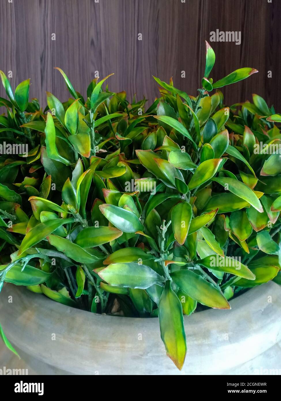 artificial plant in a pot Stock Photo Alamy