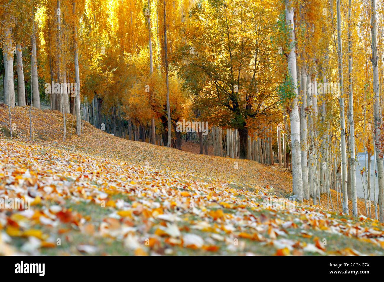 Hunza nagar and gilgit baltistan iin autumn , Pakistan Stock Photo - Alamy