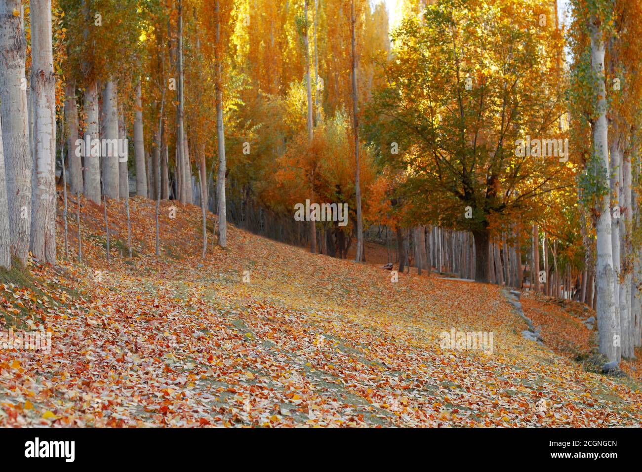 Hunza nagar and gilgit baltistan iin autumn , Pakistan Stock Photo - Alamy