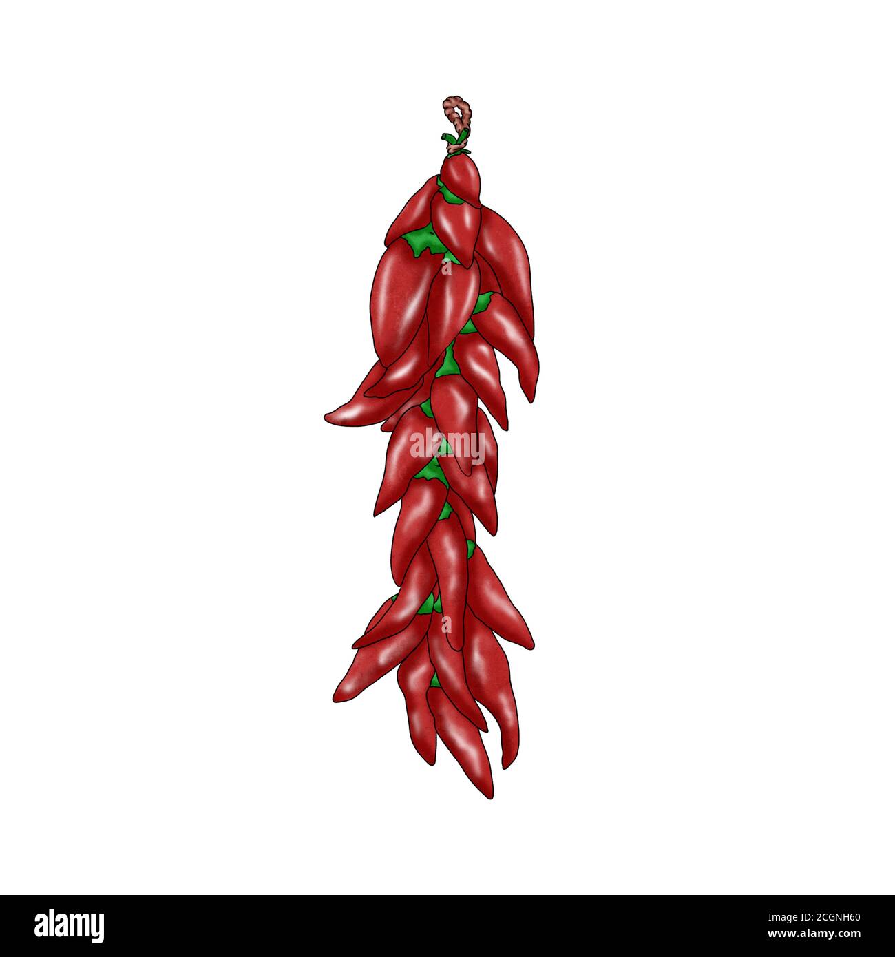 A bunch of red pepper. Illustration on a white background.. Stock Photo