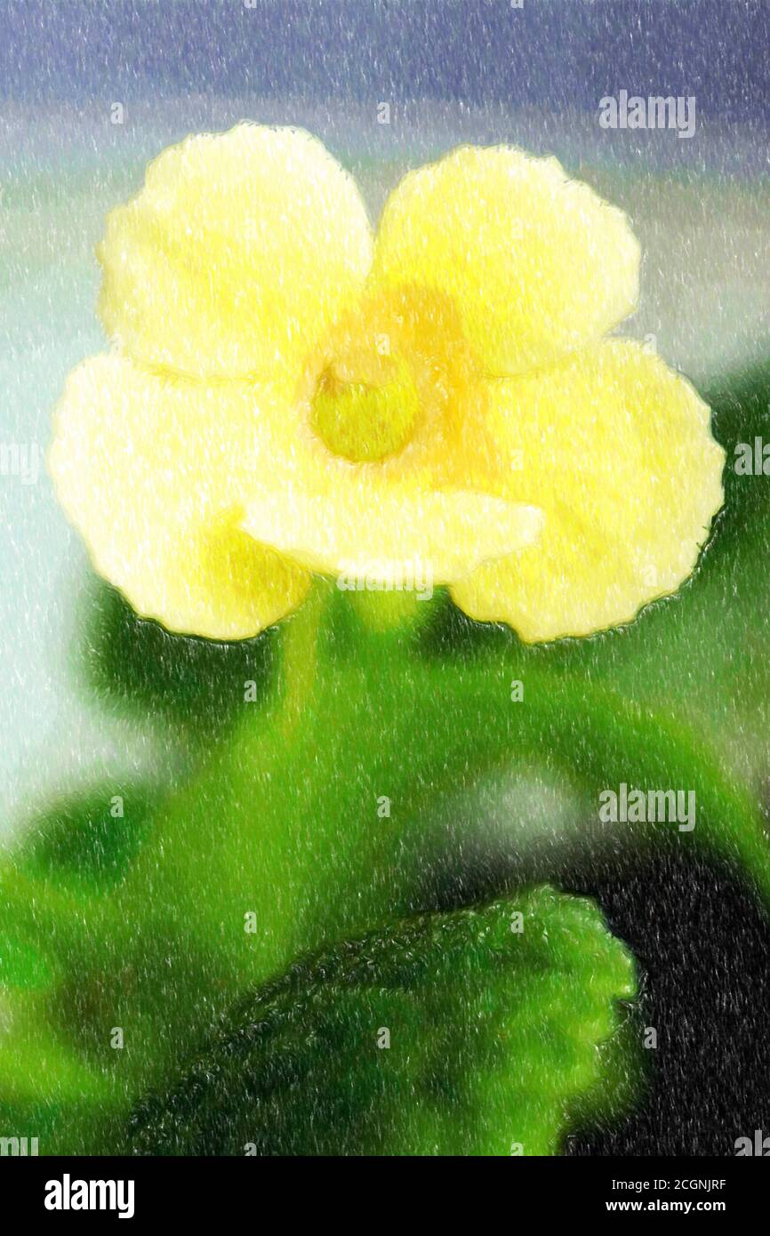 Illustration of close up of yellow episcia home plant Stock Photo