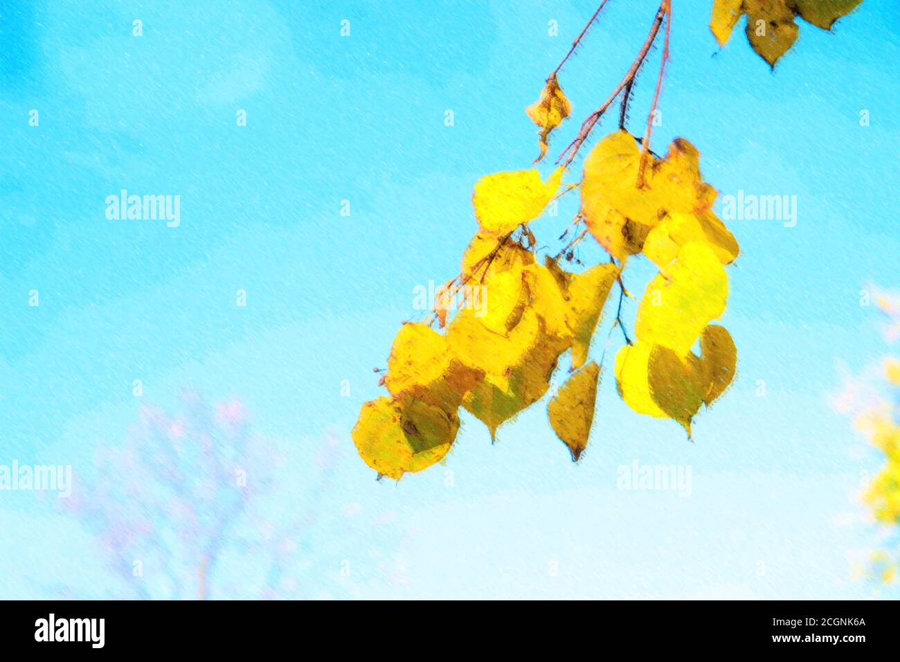 Illustration of autumn leaves with the blue sky background Stock Photo ...