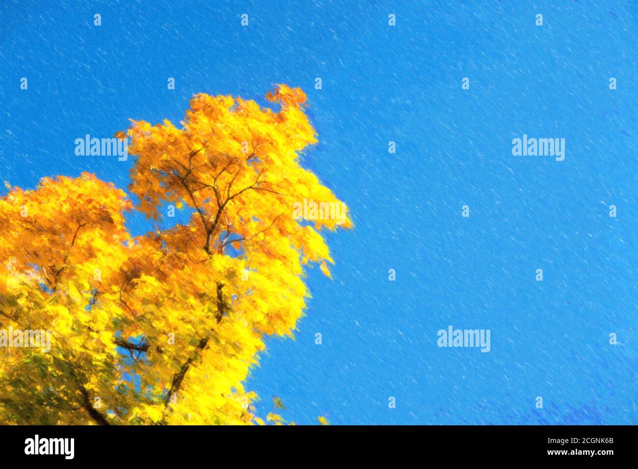 Illustration of autumn leaves with the blue sky background Stock Photo ...