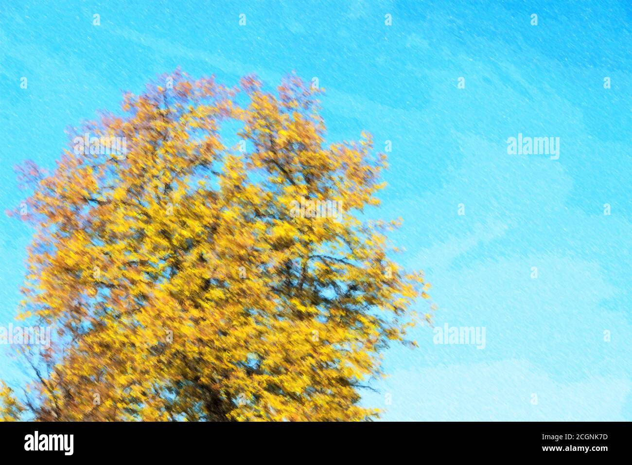 Illustration of autumn leaves with the blue sky background Stock Photo ...