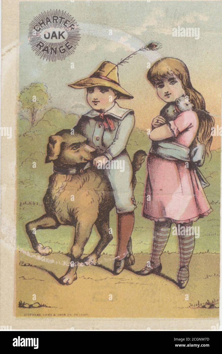 Charter oak hires stock photography and images Alamy