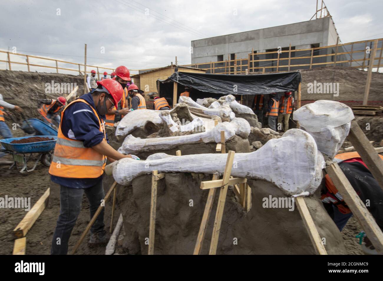 Beijing, Mexico. 10th Sep, 2020. Archeologists excavate bones of mammoth skeletons found at the construction site of the new Felipe Angeles International Airport in Mexico City, Mexico, Sept. 10, 2020. Credit: Ricardo Flores/Xinhua/Alamy Live News Stock Photo