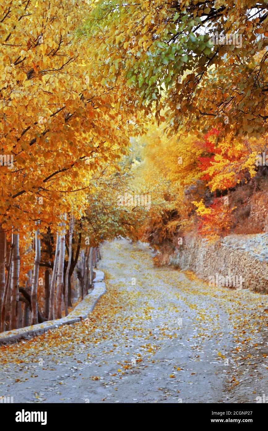 Autumn at hunza nad nagar northern areas of gilgit baltistan Pakistan ...