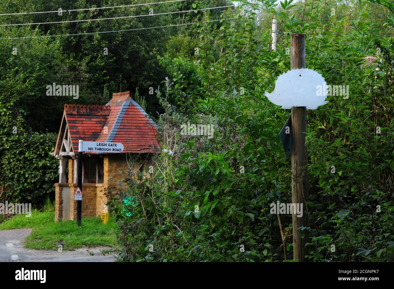 Ghost hedgehog road sign in the west Dorset village of West Milton Stock Photo