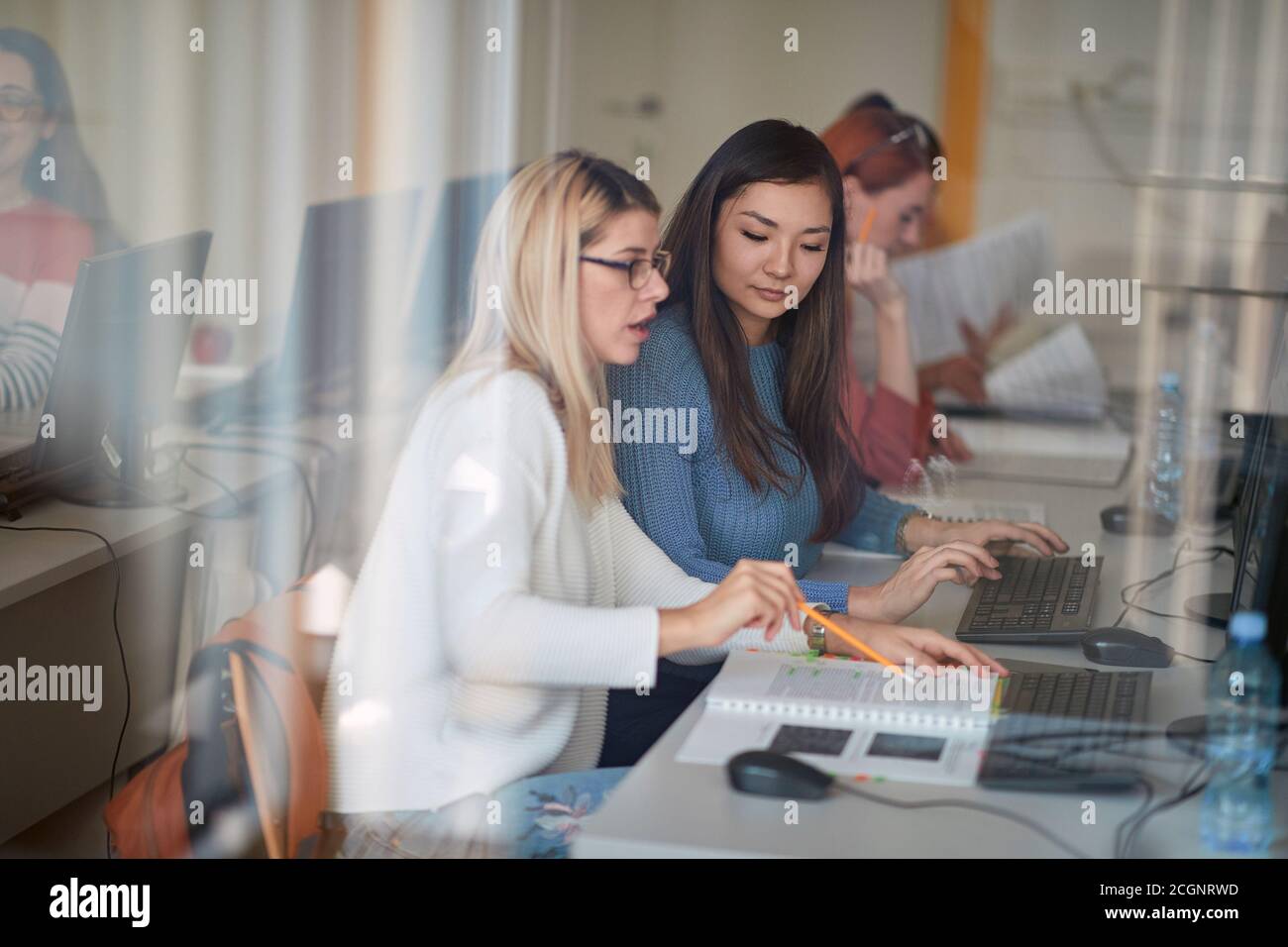 Female students working on an informatics lesson in the university computer classroom Stock Photo