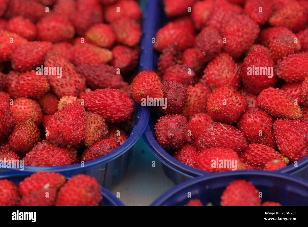 Containing nutrition hi-res stock photography and images - Alamy
