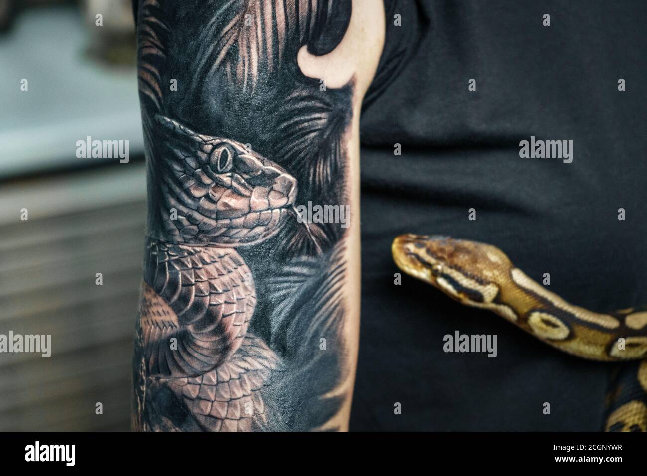 Woman holding python which is the sample for tattoo Stock Photo