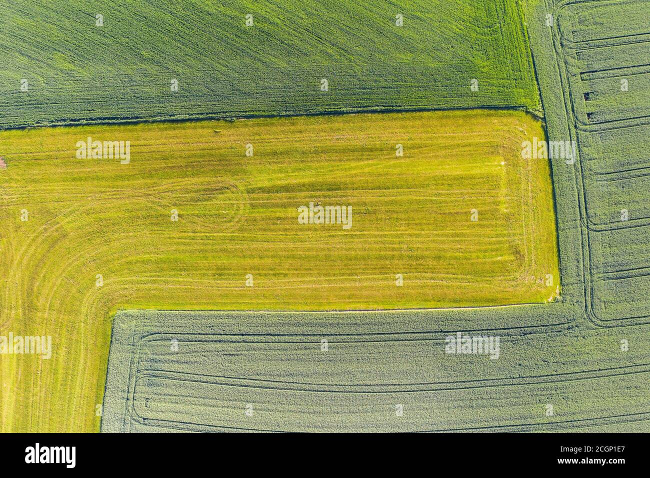 Green fields and meadows, near Huglfing, Pfaffenwinkel, drone recording, Upper Bavaria, Bavaria, Germany Stock Photo