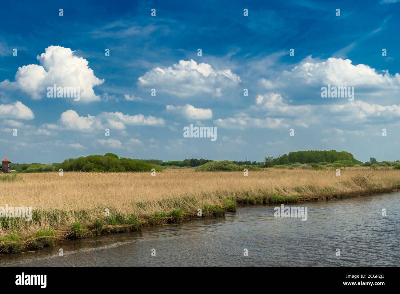River Leda, Northern Germany, Oldenburger Muensterland, Barssel, Lower Saxony, Germany Stock Photo