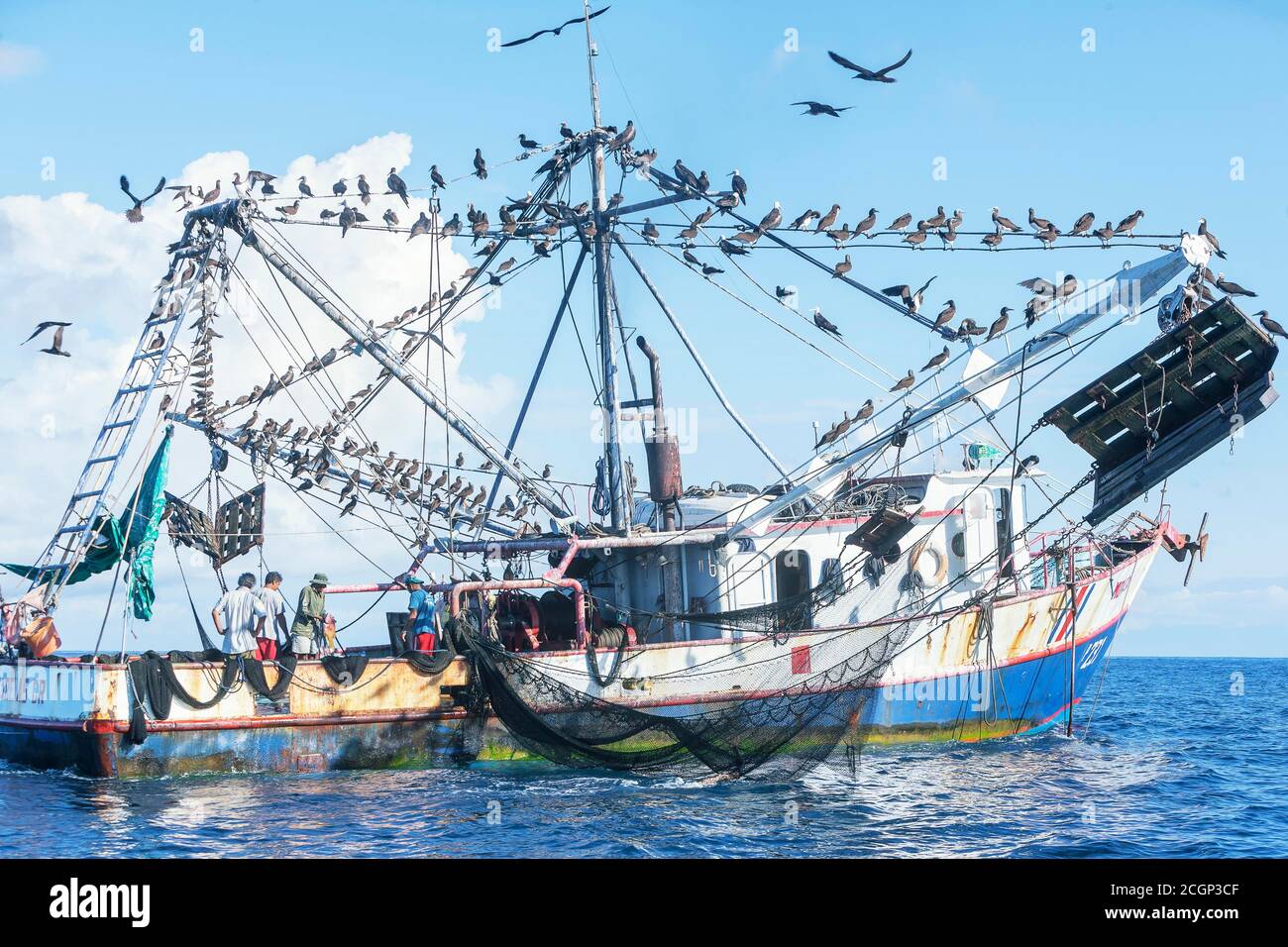 Fishing boat by a flock of birds, Drake bay, Osa Peninsula